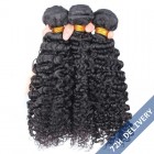 Sunny Queen Natural Looking Brazilian Virgin Human Hair 3B 3C Kinky Curly Hair Weave 3 Bundles