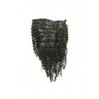 Sunny Queen Kinky Curly Mongolian Virgin Hair Clip In Human Hair Extensions Natural Color