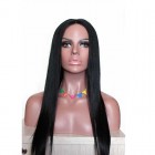 Sunny Queen Natural Color Silk Straight 100% Peruvian Virgin Human Hair Wig Lace Front Wigs
