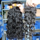 Sunny Queen Indian Remy Hair Water Wave Middle Part Lace Closure with 3pcs Weaves