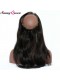 Pre Plucked 360 Lace Frontal Closure With 2 Bundles Brazilian Straight Human Virgin Hair