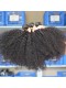 Mongolian Virgin Hair Afro Kinky Curly Free Part Lace Closure with 3pcs Weaves