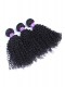 Indian Virgin Hair Kinky Curly Free Part Lace Closure with 3pcs Weaves